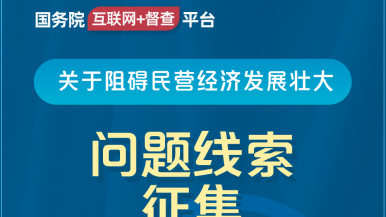 动漫美女脱下裤衩让男生捅国务院“互联网+督查”平台公开征集阻碍民营经济发展壮大问题线索